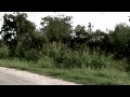 SHADOW 44 - Webisode 2 - Man from Tomorrow