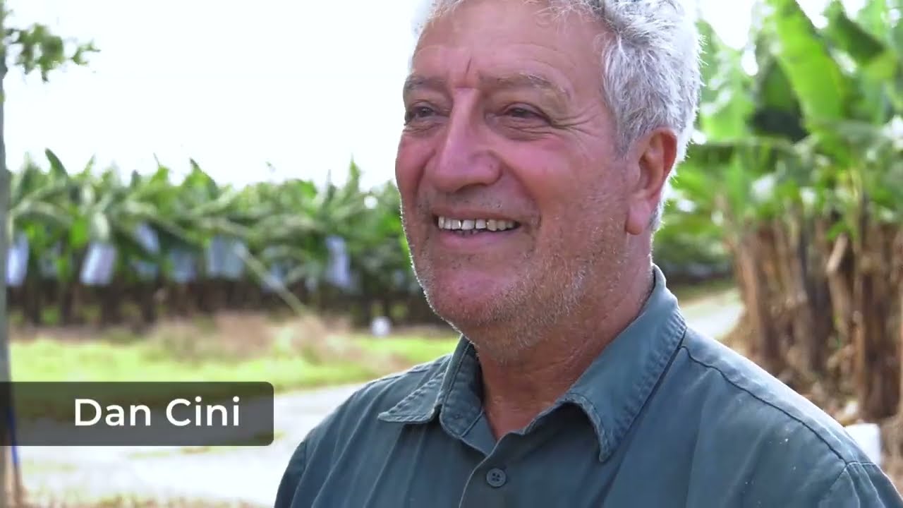 The benefits of riverbank preservation on an FNQ banana farm - Full Version