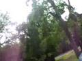 Flips