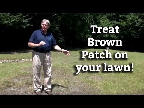 how to patch yard