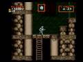 超魔界村/Super Ghouls 'N Ghosts (5/5)