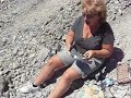 Dinosaurs Rock Fossil Dig Trilobites