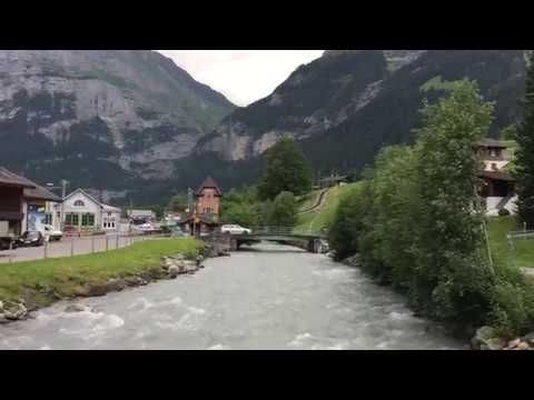 動画