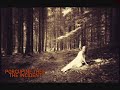 porcupine tree disapear