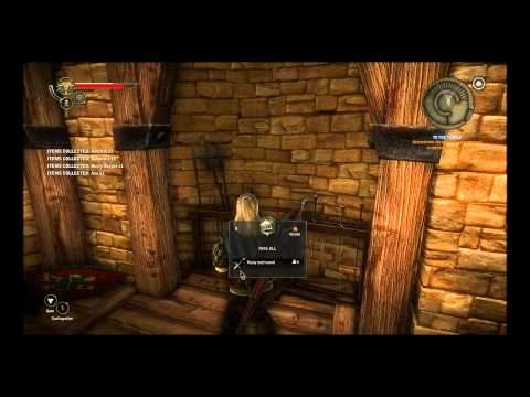 The Witcher 2 : Assassins of Kings