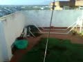 Micro-t Micro-desert truck team losi en mi terraza jejejeje Micro-t Micro-desert truck team losi en mi terraza jejejeje