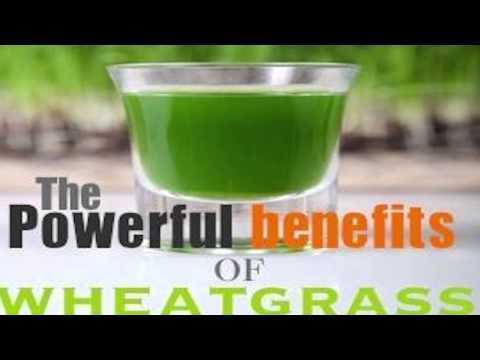 how to take wheatgrass powder