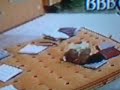 bbb7_e sobraram apenas alem�o e carol...