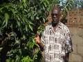 Bale Ibrahim, Mapronet