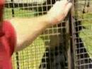 Anthony Callea-Golf Range