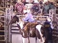 prca-rodeo-horse-abused-injured-at-illinois-state-fair.html