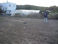 cullera
