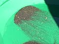 part 2 north fork, clean up video.