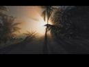 Crysis&Farcry 2 Grafik