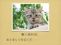 十戒