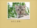 猫の十戒