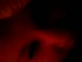 videos de Na dann gute Nacht !