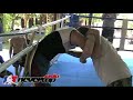 Nevertap Asia 2009 – 66kg – Claire.Haigh vs. Matthias Sieber – Featherweight