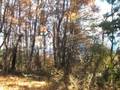 長野 田舎暮らし便り(蓼科より)0065・腐葉土採り