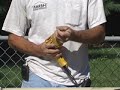 POWER TOOL SPECIAL FEATURES