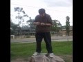Hoddle St Massacre Project