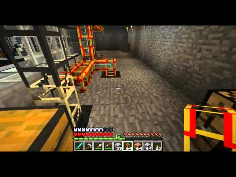 how to transplant bittersweet vine