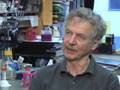 Creating embryonic stem cells without an egg or embryo