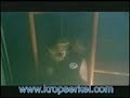 Alien with Kim Poirier on Spaceys (Kropserkel.com)