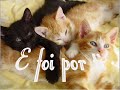 Antalogia - Shakira