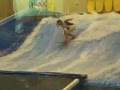 Adrenalina Flowrider