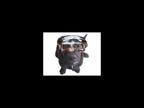 YouTube Preview Image
