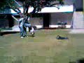 prepa sayula prepa sayula