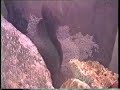 Acuario 3. Aut�ctono mediterraneo 2