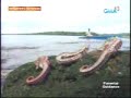 Reporters Notebook Sea Horse ulat ni Maki Pulido 2 of 2