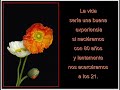 Selección de imágenes de flores, con mensajes positivos, acompañadas de la canción de The Corrs : Silver Strand (Capítulo de Plata) de su álbum  Borrowed Heaven - Cielo recibido en préstamo  violín instrumental