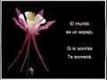 Silver Strand - The Corrs.wmv