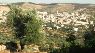 كفردان الصمود.wmv.wmv