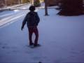 Gus and Cody in the snow