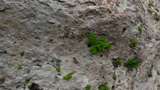 Geological heritage - Bulgaria