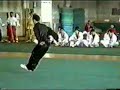 kung fu arti marziali wushu