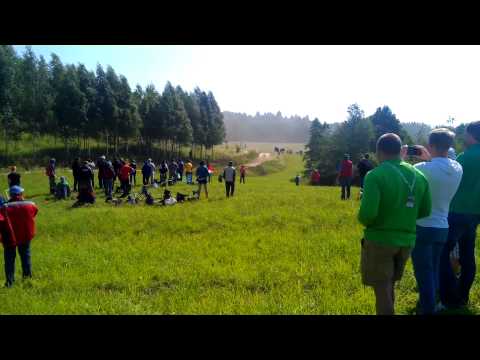 Kubica z delikatną przygodą na OS12 - Rajd Polski 2014 Kubica z delikatną przygodą na OS12 - Rajd Polski 2014