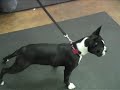 See video