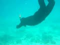 freediving chorwacja