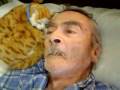 videos de 081201 154349