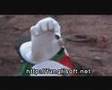 Dragon Ball Z Fan Film ! Excelent ! Awesome ! 実写版ドラゴンボールZ‐人造人間VSグレートサイヤマン
