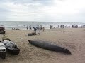 A view of the popular Kozhikode beach from Kerala, India !