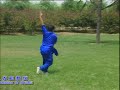 Fourth Dan Staff