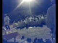 ahwach ouarzazate anzal taznakhte dersst music tradition