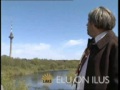 Hele Laks - Vaata puu