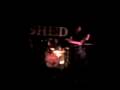 Torsohorse at the shed